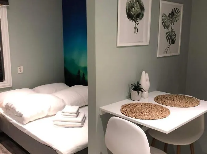 Central Studio Apartment Apt 104